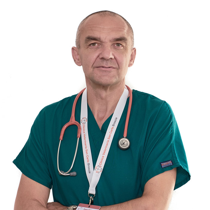 Dott. Nicola Ottolini