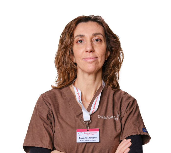 Dott.ssa Elisa Pellegrini