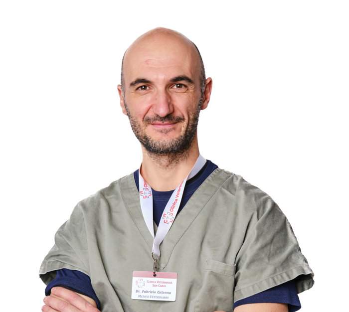 Dott. Fabrizio Colonna